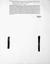 Diaporthe desmazieri image